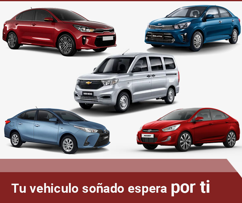 bmcvehiculos